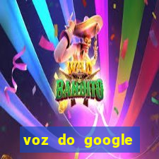 voz do google tradutor homem